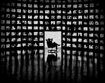 Concentration-médiatique